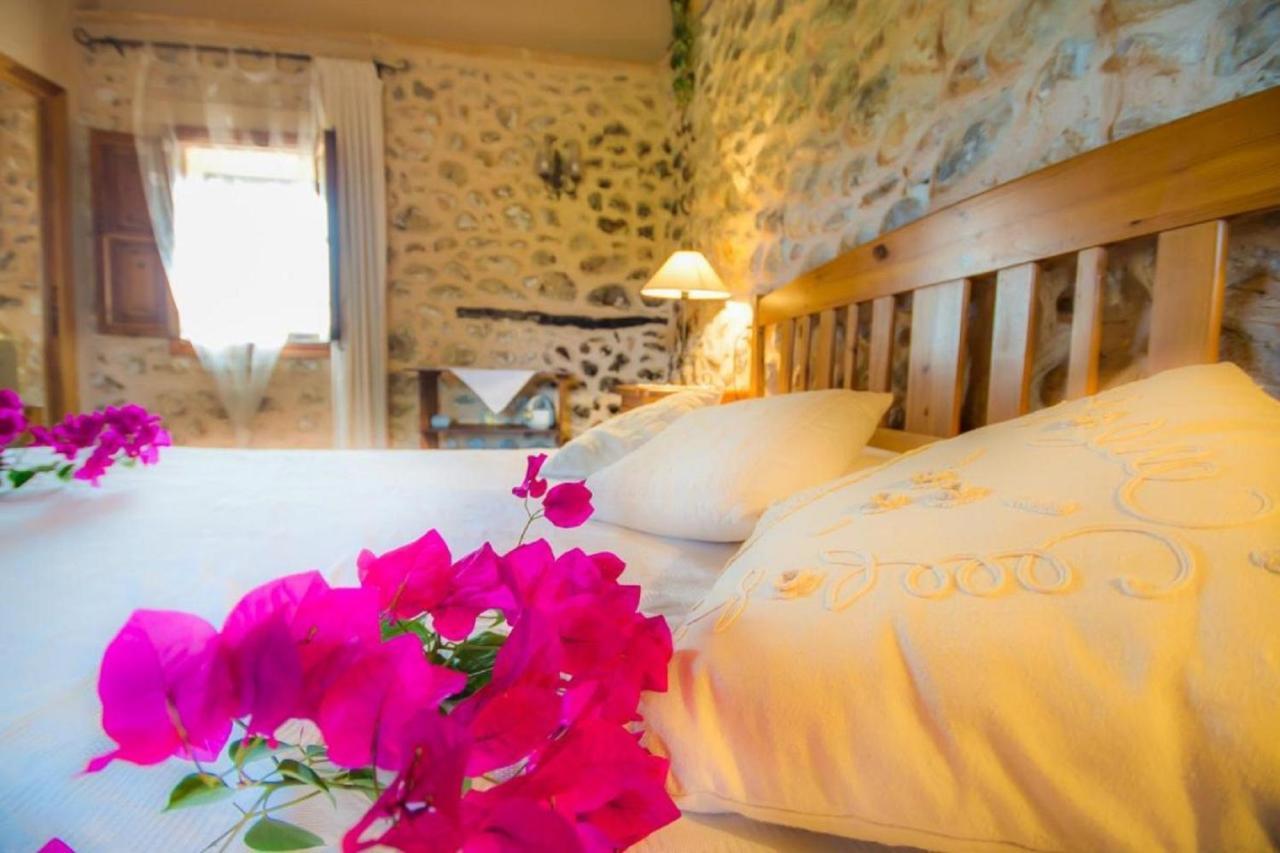 Landhaus Ideal Mallorca - Nyany Búger